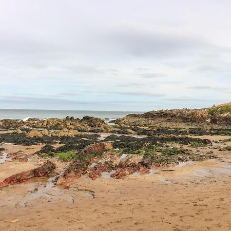 Meadow Lodge Coldingham Esterno foto