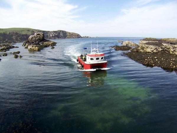 Meadow Lodge Coldingham Esterno foto